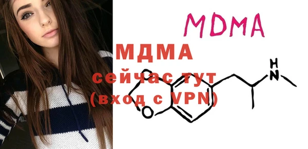 мет Алексин