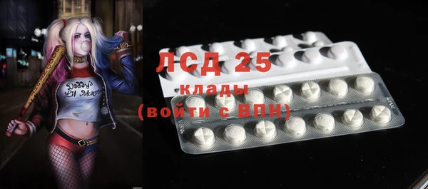 ECSTASY Алзамай
