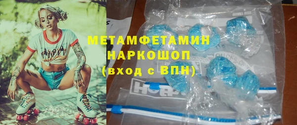 мет Алексин