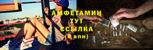 мет Алексин