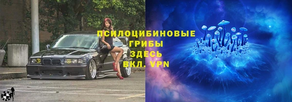 спиды Алексеевка