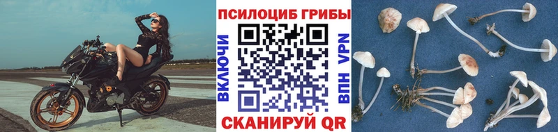 Псилоцибиновые грибы ЛСД Крымск