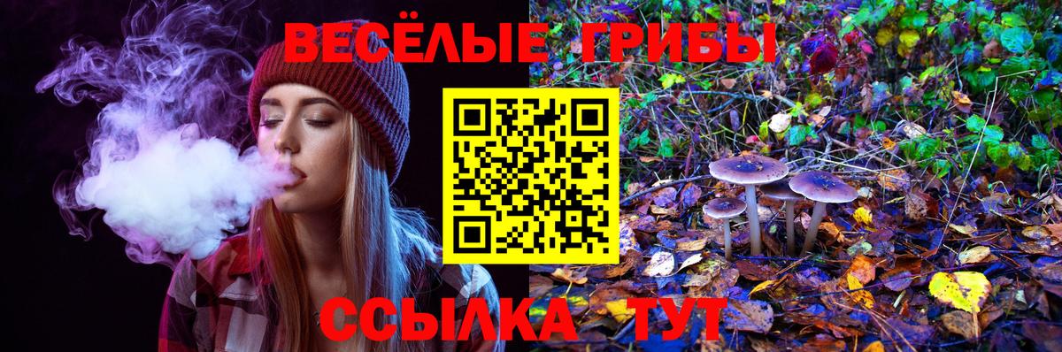 Галлюциногенные грибы мицелий Крымск